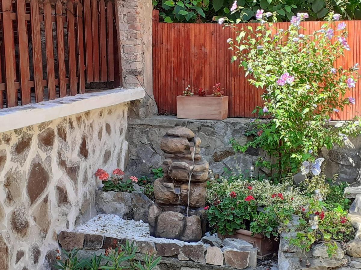 Gloria Apartments سيفِسوارا المظهر الخارجي الصورة