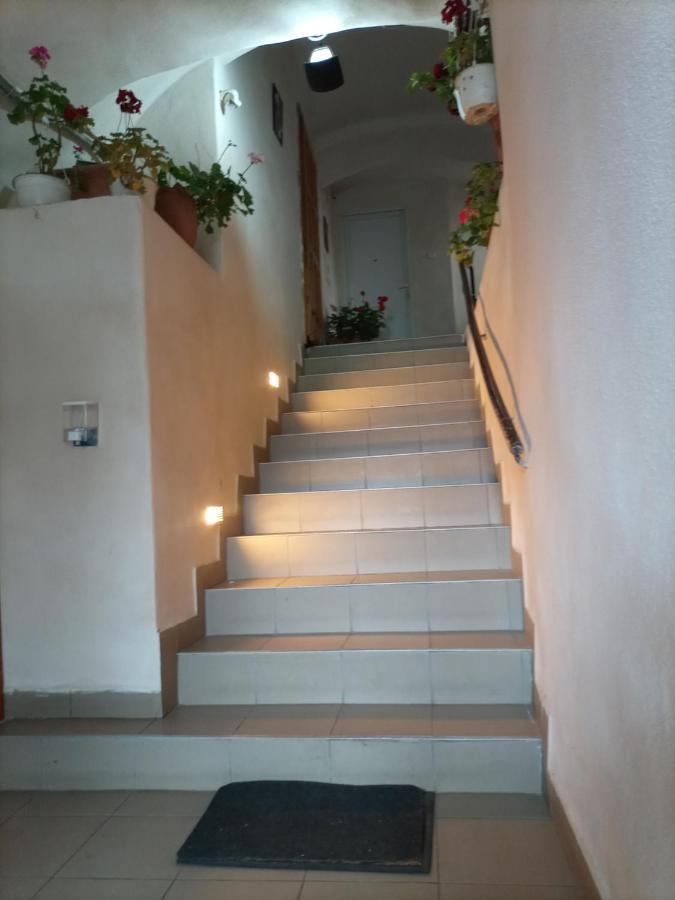 Gloria Apartments سيفِسوارا المظهر الخارجي الصورة